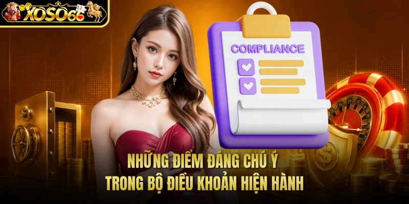 Những điểm đáng chú ý trong bộ điều khoản hiện hành 