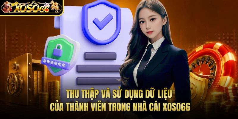 Thu thập và sử dụng dữ liệu của thành viên trong nhà cái XOSO66
